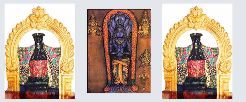  Nagannathaswamy Temple